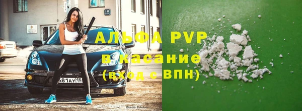 сатива Абаза